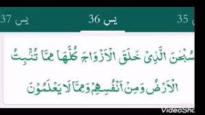 Pada ayat 36 terdapat makna mendalam tentang datangnya jodoh sejati dalam hidup kita. Surah Yaa Siin Ayat 36 Qs 36 36 Tafsir Alquran Surah Nomor 36 Ayat 36