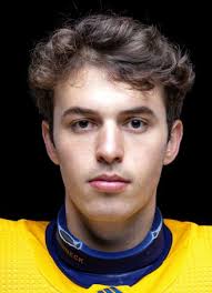 Player photos for the 2020-21 Bismarck Bobcats at hockeydb.com