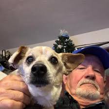 Why are they focusing