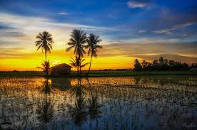 Ditarik balik translated to english. Pengkhianatan Di Kedah Menunjukkan Keperluan Segera Pilihan Raya Tarik Balik Wakil Malay English Aliran