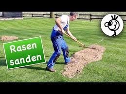 Das Beste Fur Perfekten Rasen Sand Youtube Rasen Garten Blumenwiese