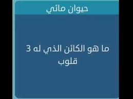 حيوان مائي ماهو الكائن الذي له 3 قلوب لعبة وصلة Youtube