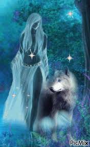 Foto Com Animacao Com Imagens Arte Raposa Espirito De Lobo Desenho De Lobos
