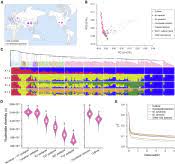 Molecular plant cell press impact factor. Molecular Plant Cell Press