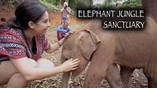 Elephant Jungle Sanctuary | Chiang Mai, Thailand - YouTube