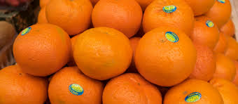 Remove my citrus tree asian citrus psyllid host list. 4 Most Popular Asian Citrus Fruits Tasteatlas