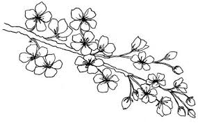 Sakura cara menggambar dan mewarnai gambar bunga untuk anak anak. 18 Contoh Mewarnai Gambar Bunga Berbagai Jenis Broonet