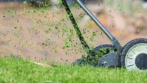 We did not find results for: Preparez Votre Pelouse Ce Printemps En Effectuant Cet Entretien Obligatoire Manderley