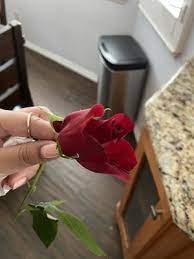 1800flowers's reputation score is 40%, which is average. 1800 Flowers Alhambra 100 Photos 87 Reviews Florists 1100 W Valley Blvd Alhambra Ca Phone Number Products Yelp