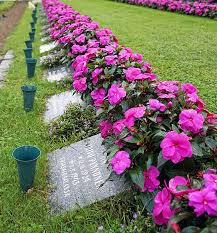Find great deals on new items shipped from stores to your door. File Grave Flowers Jpg Wikimedia Commons