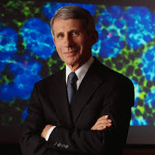 Fauci fans amp up cultural tributes. Dr Anthony Fauci Usasef