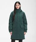 Dark Sage Green Expedition Arctic Parka The North Face