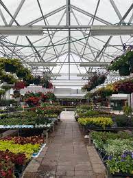 Check spelling or type a new query. Shoplocal In Bn Bloomington Normal Illinois