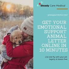 Get Your Emotional Support Animal Letter Online In 10 Minutes Emotional Support Animal Emotional Support Animal Letters
