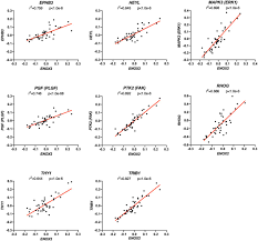 We did not find results for: Enox2 Nadh Oxidase A Bcr Abl1 Dependent Cell Surface And Secreted Redox Protein In Chronic Myeloid Leukemia Cml Biorxiv
