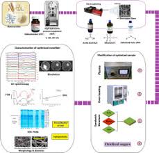 The role of green technologies in producing wheat gluten nanofibers by  electrospinning and improving their water resistance