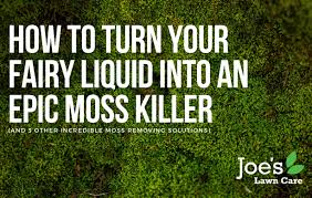 Chemical lawn moss killers provide a temporary solution, but as long as the conditions that encourage the growth of moss remain the same, it grows back as strong as ever. How To Turn Your Fairy Liquid Into An Epic Moss Killer Joe S Lawn Care