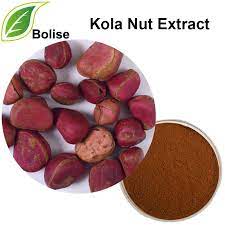 kola nut extract cola nut extract flavors alkaline meals herbal extracts