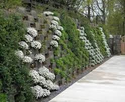Myriad Options For Retaining Wall Needs Garden Retaining Wall Screen Plants Vertical Garden