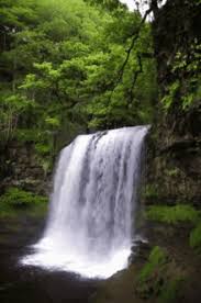 Maybe you would like to learn more about one of these? Animated Nature Gifs Tenor