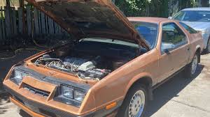 Image result for Sable Brown 1984 Dodge