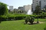 دردشة عطر الليالي