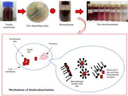 Contact atd solution (m) sdn bhd. Production Of Lipopeptide Biosurfactant By Kurthia Gibsonii Kh2 And Their Synergistic Action In Biodecolourisation Of Textile Wastewater Sciencedirect