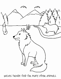 Pj masks coloring pages halloween coloring pages free printable coloring pages coloring book pages coloring pages for kids kids coloring big bad wolf wolf maske werewolf mask. Ecosystem Coloring Page Wolf Mask Paw Print Activity Coloring Home
