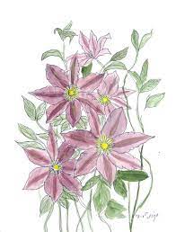 Check spelling or type a new query. Clematis Drawing By Carol Veiga