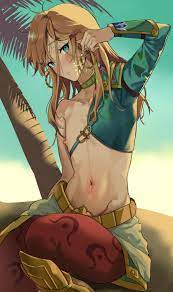 Vai Link getting hot on a chilly morning [BotW] : rlinkiscute