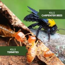 We look forward to keeping your apartment bug free. Bioadvanced 1 Gal Ready To Use Carpenter Ant And Termite Killer Plus 700332 The Home Depot