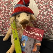 Wenn sie beispielsweise den september als startmonat wählen, erhalten sie einen individuellen. Detektei Wilma Wusel Waldentdeckenberlin