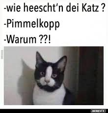 Pin Von Manuel H Auf Lustig Lustig Humor Lustige Humor Bilder Lustig