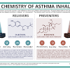 Inhalers for asthma brands accessible on the site are optimal qualities and can be used in various areas such as to address pains resulting from sports. 1