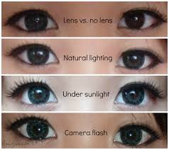 Image result for why are my eyes brown