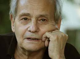 Nick Pellegrino Photography