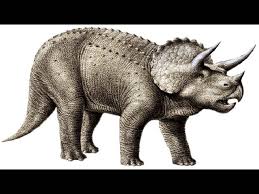 Dinosaurs went extinct 65 million years ago. Carbon Dating Dinosaurs Lessons Blendspace