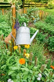 I love my summer flowers. 6 Helpful Flowers For The Vegetable Garden Easy To Grow