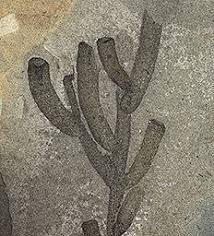 Image result for Vausagesia