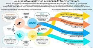 Co-productive agility and four collaborative pathways to sustainability  transformations