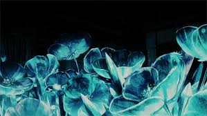 Japanese aesthetic pink aesthetic aesthetic anime kawaii cute kawaii anime kawaii bedroom cybergoth epic games dream rooms. Anime Flowers On Tumblr