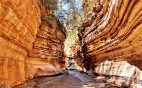 1 Day Tour To Hells Gate National Park ...