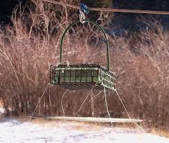 Choose natural predators of birds, such as snakes, owls, and even coyotes. Tips From Feederwatchers Feederwatch