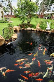 111 John Ruskin Quotes Inspirational Quotes At Brainyquote Fish Pond Gardens Outdoor Fish Ponds Koi Pond Design