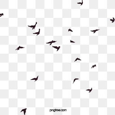 Birds Asuka Shading Background Png And Vector With Transparent Background For Free Download Flying Bird Silhouette Bird Silhouette Silhouette Illustration