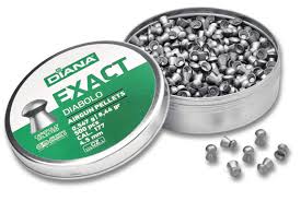 Main purpose will be hunting chipmunks and squirrels and a bit of plinking fun. Ammunition Our Best Picks Gun Trade News