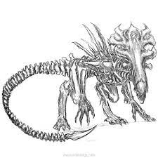 Here is an awesome predator penciled & inked by a. Alien Vs Predator Coloring Pages Coloring Printable B108 Lagend
