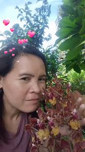 Undeniable beauty 😍🤩, #flowers #plantsmakepeoplehappy