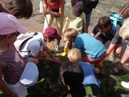Sauf la plage du port de gourmalon à pornic, victime. Pornic Decouverte De La Peche A Pied