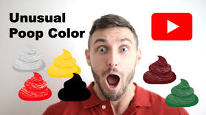 Image result for blood in stool human poop